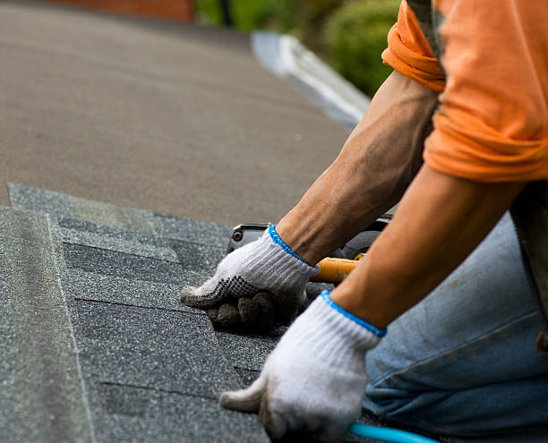 Best Roof Gutter Cleaning  in Edgewood, FL