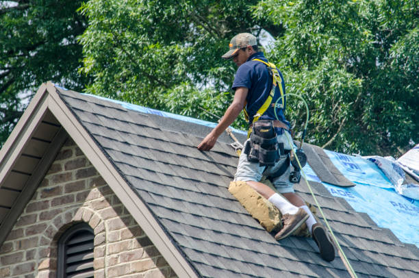 Quick and Trustworthy Emergency Roof Repair Services in Edgewood, FL